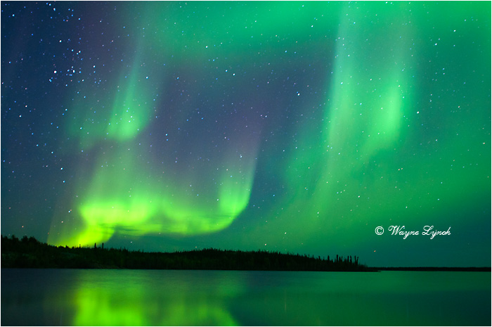 Aurora Borealis by Dr. Wayne Lynch &copy;